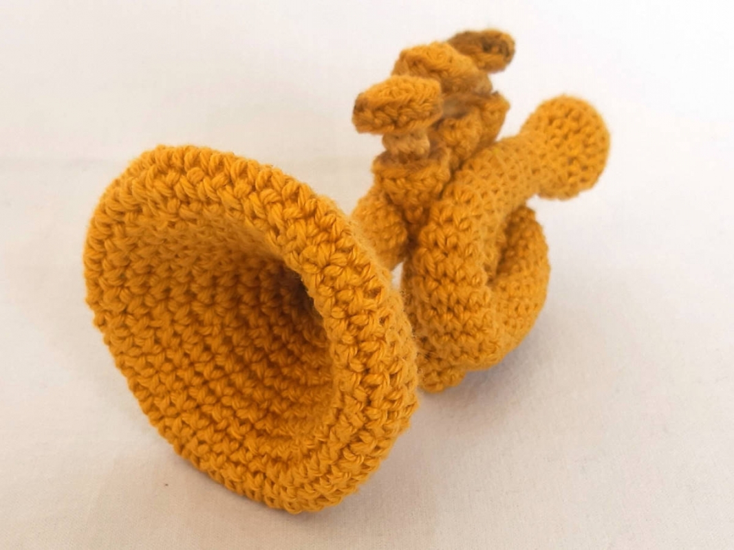 Gitarre, Trompete, Maracas (DE/EN/NL)