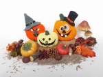 Halloween Kürbisse (DE/EN/NL)